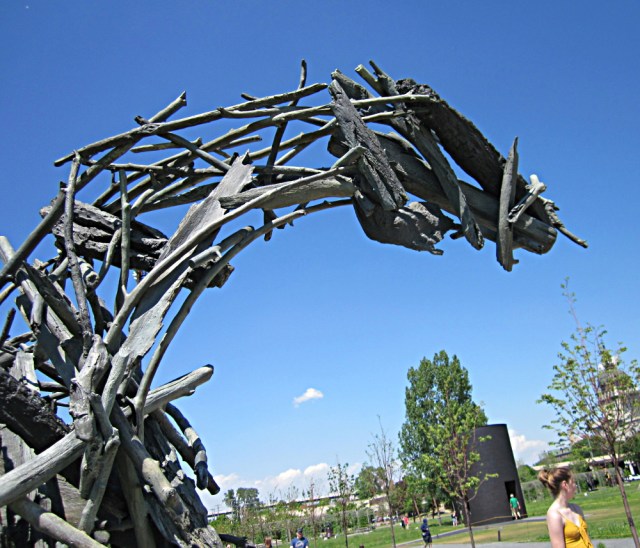 Horse5